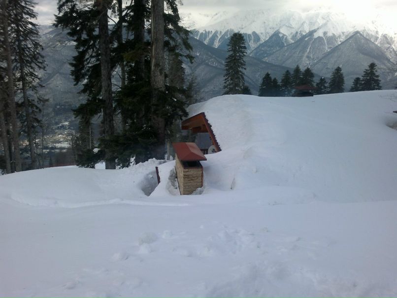 Андрей Коваленко | Ростов-на-Дону