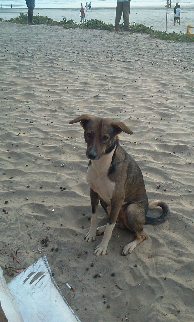 Антон Рудченко | Сургут