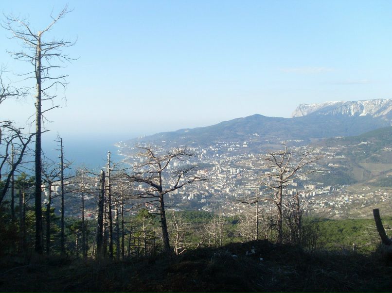 Алина Бойко | Бородянка