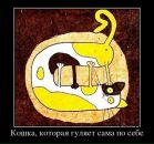 Фотография Сергей Антоненко
