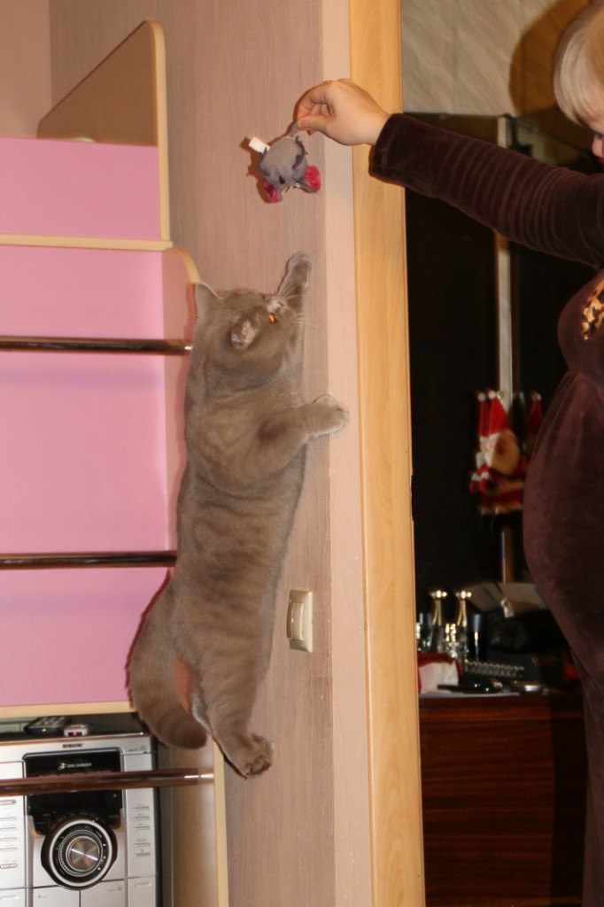 Екатерина Васильева | Санкт-Петербург