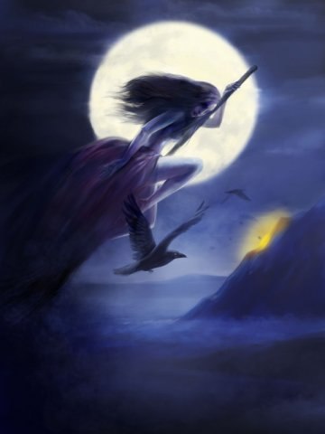 Алёна Бреусова | Калининград