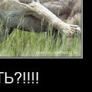 №24, Юленька Лапочка, 41 год, Санкт-Петербург №24, Юленька Лапочка, 41 год, Санкт-Петербург