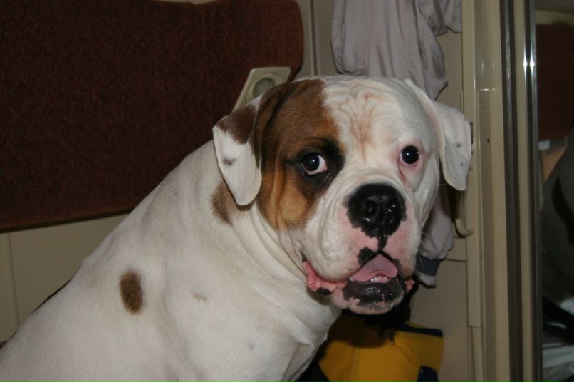 Ольга Исаева | Санкт-Петербург