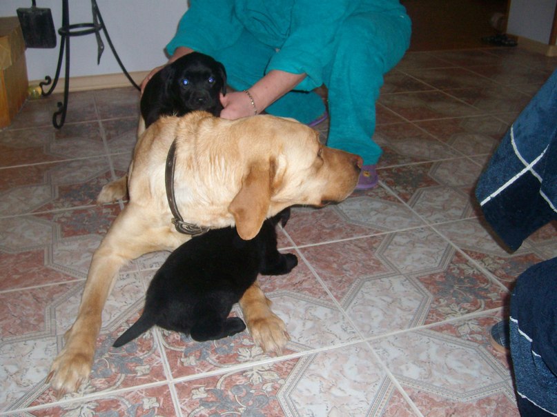 Никита Редькин Сергеевич | Армянск