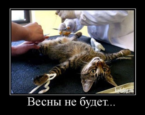 №170, Владимир Березников, 59 лет, Харьков №170, Владимир Березников, 59 лет, Харьков