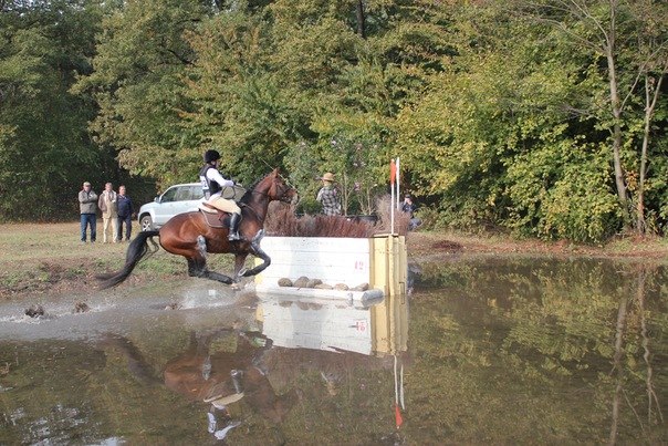 Евгения Высоцкая | Калуга