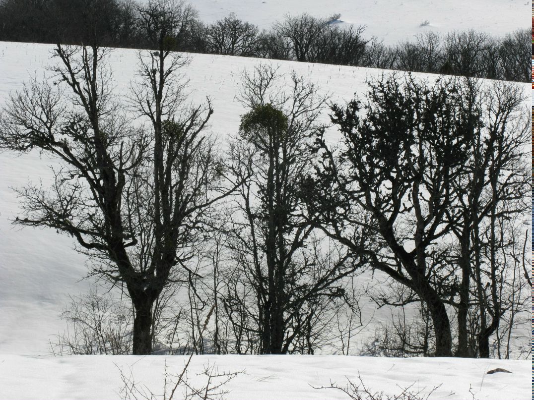 Татьяна Запевалова | Севастополь