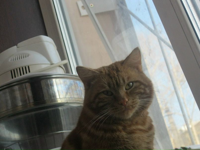 Лилия Третьякова | Москва