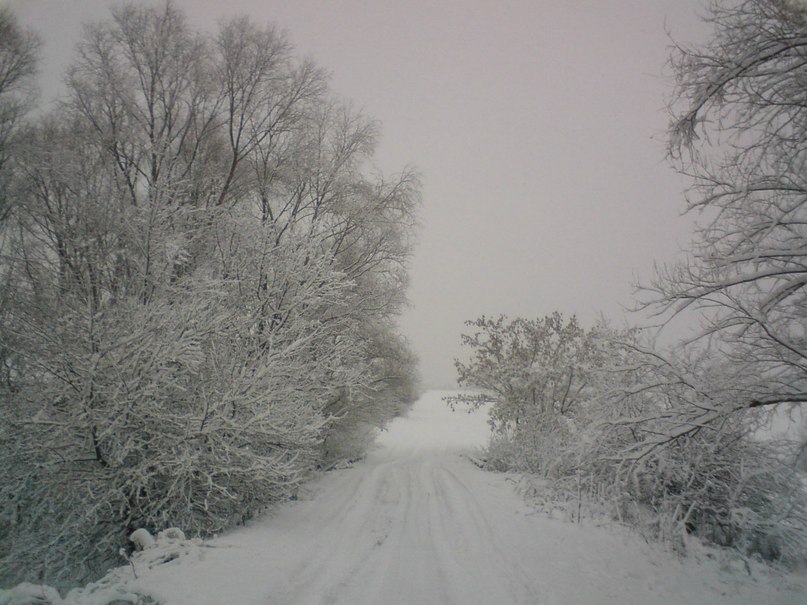 Ярослав Пилюгин | Москва