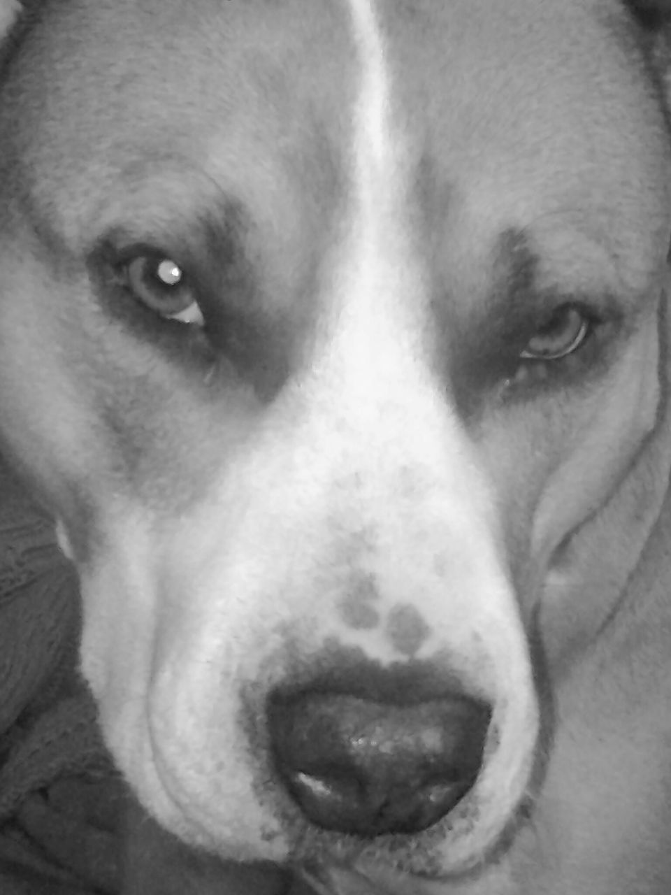 Антонина Волочугина | Чудово