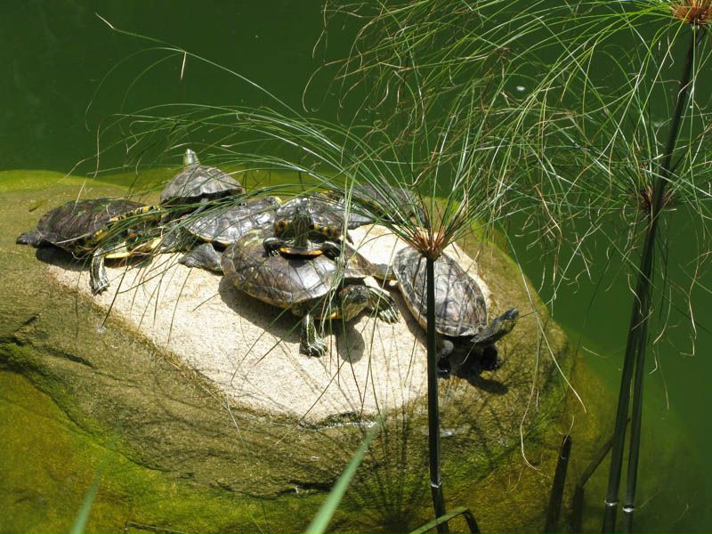 №30, Юлия Иванова, Чита, Россия №30, Юлия Иванова, Чита, Россия