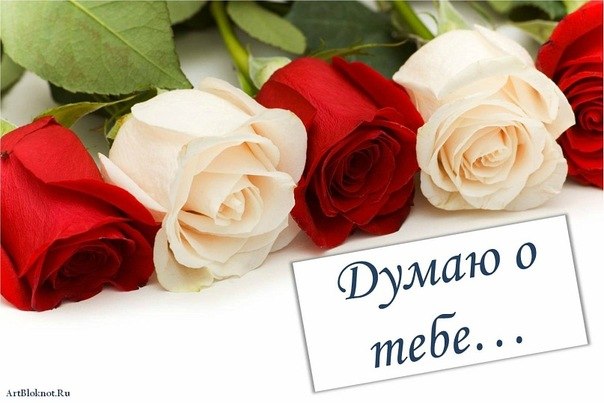 №43, Елена Рыбалко-Ёлкина №43, Елена Рыбалко-Ёлкина