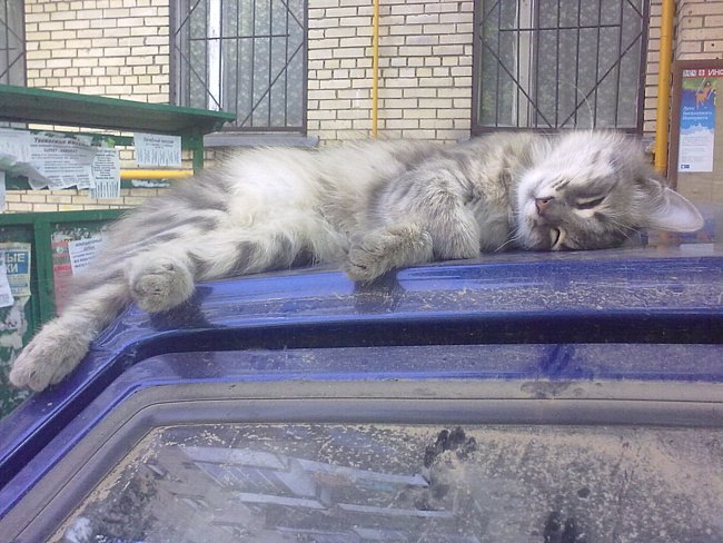 Ленар Арсланов | Набережные Челны