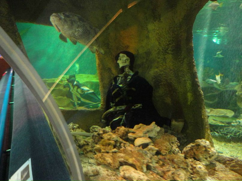 Мария Федорова | Санкт-Петербург