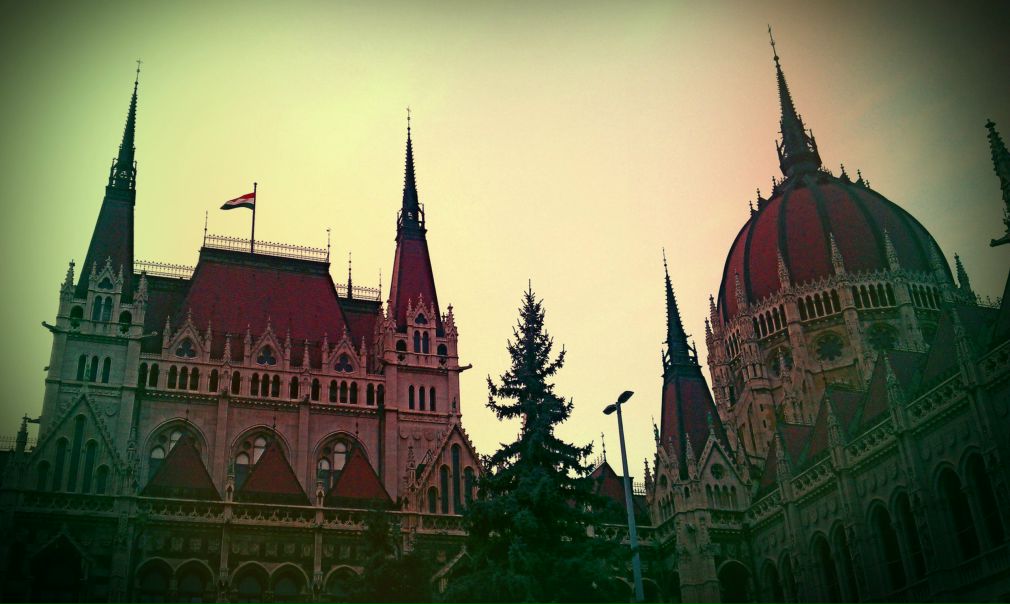 №30, Camilla Norova №30, Camilla Norova