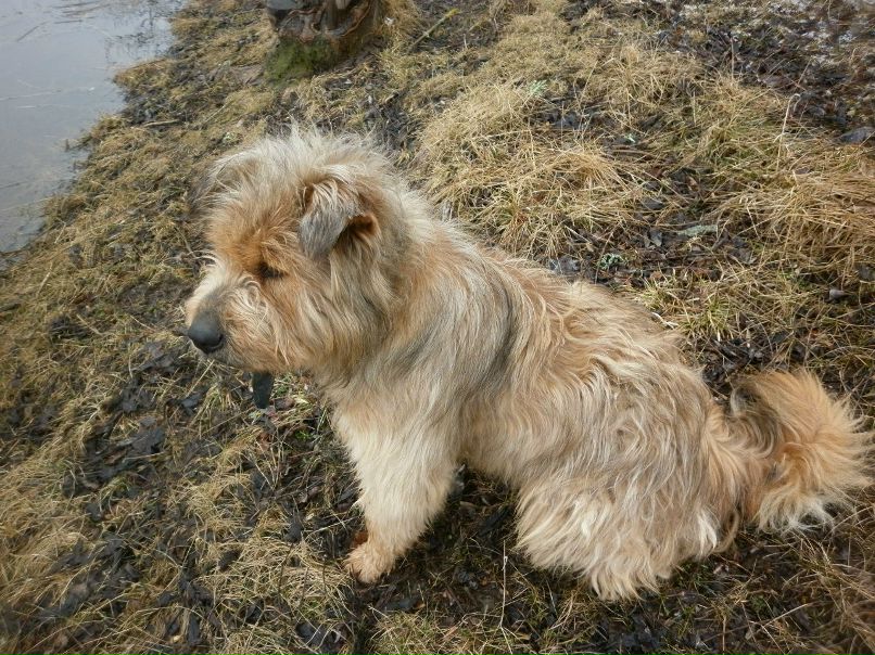 Галина Суворова | Пыталово