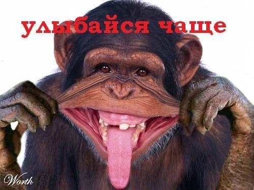 Максим Бронников | Йошкар-Ола