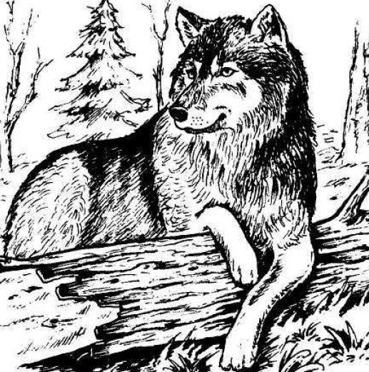 Сергей Сергеев | Херсон