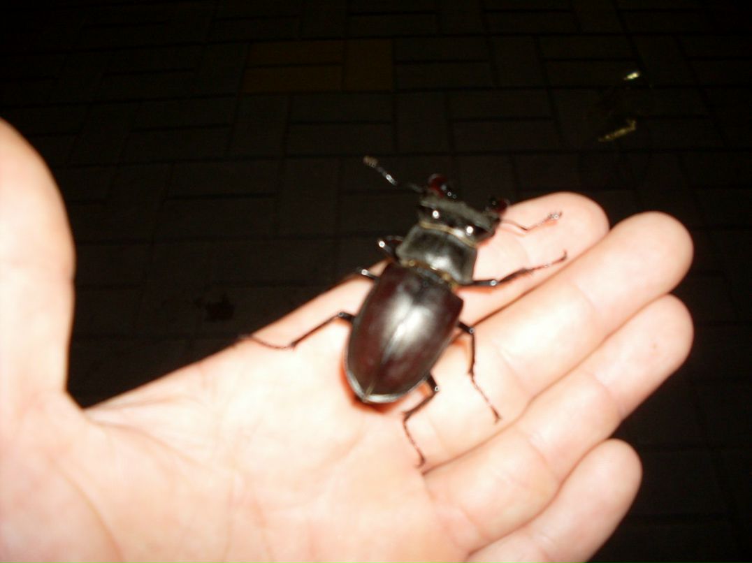 Олег Суслов | Санкт-Петербург