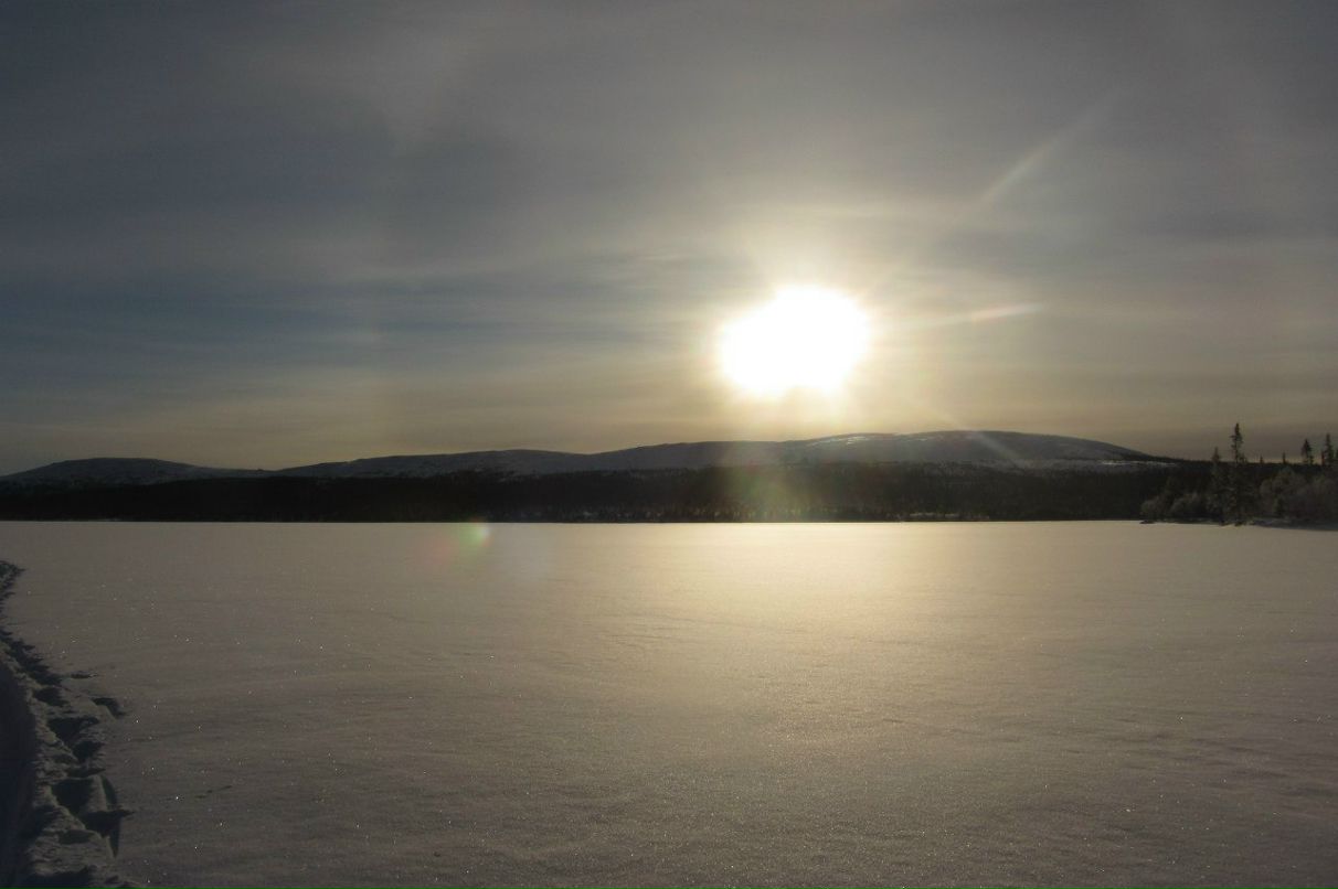 Арсений Петрик | Харьков