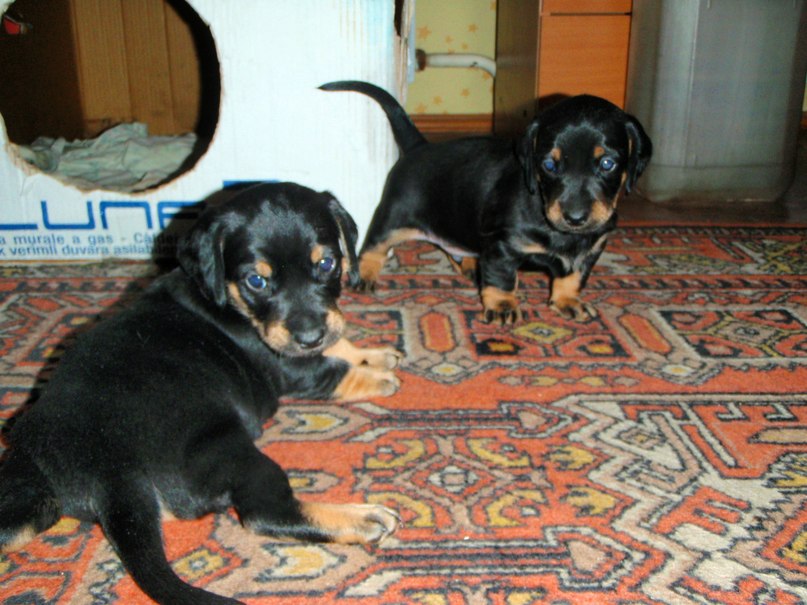 Даша Скрипникова ツ | Ишим