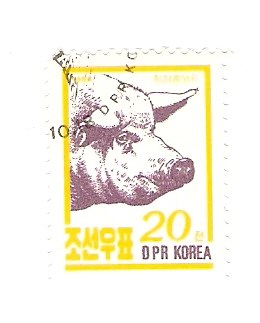 Жека Карпичев | Череповец