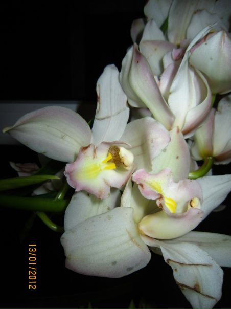 №128, Анна Филимонова №128, Анна Филимонова