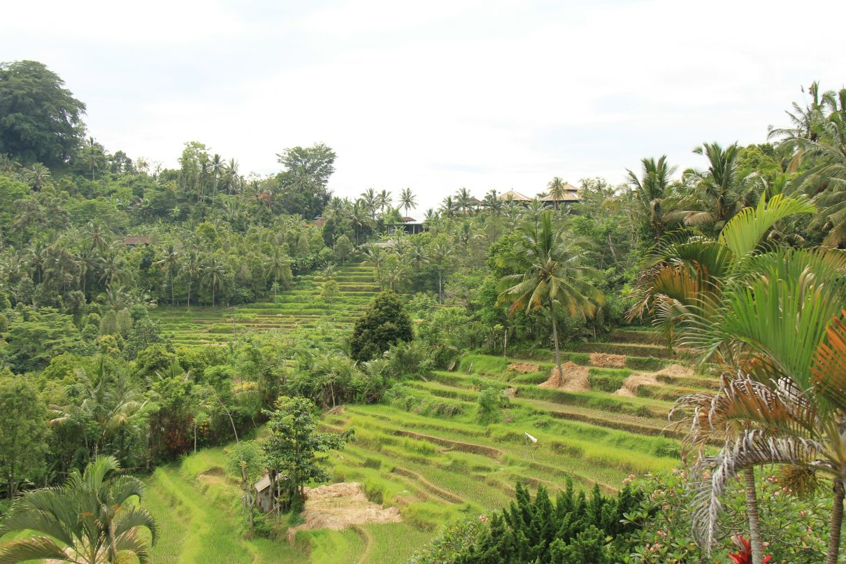 Светлана Хорькова | Москва