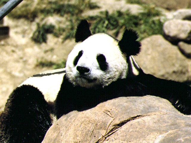 Олег Аверин | Киев