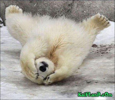 Кирилл Закатов | Санкт-Петербург