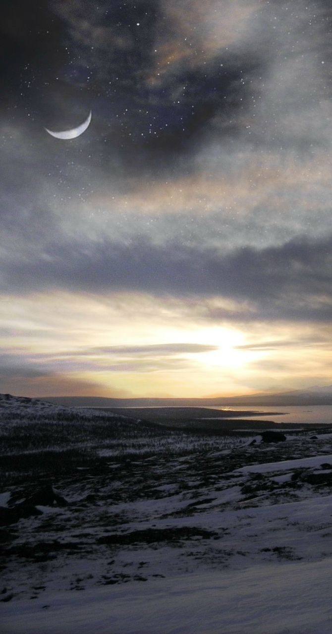 Алексей Пахомов | 