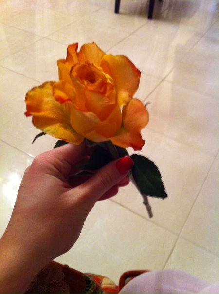 №181, Anna Reingold, Bremen №181, Anna Reingold, Bremen