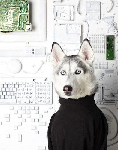 Аня Бреева | 