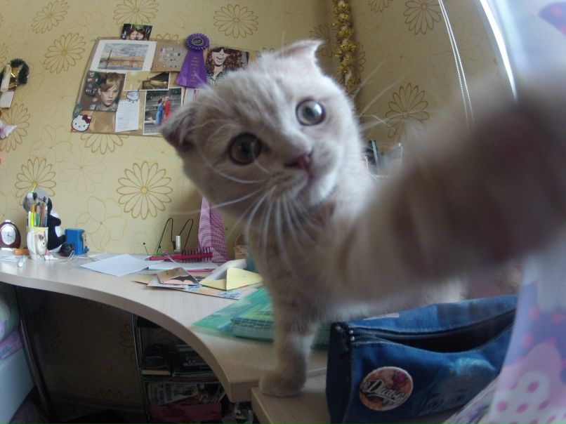 Катя Кобелева | Санкт-Петербург