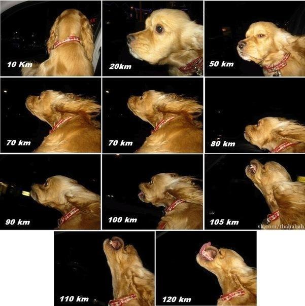 Алексей Остапенко | Николаев