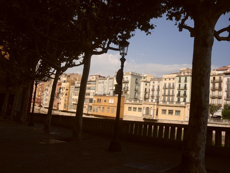 Мария Плужник | 