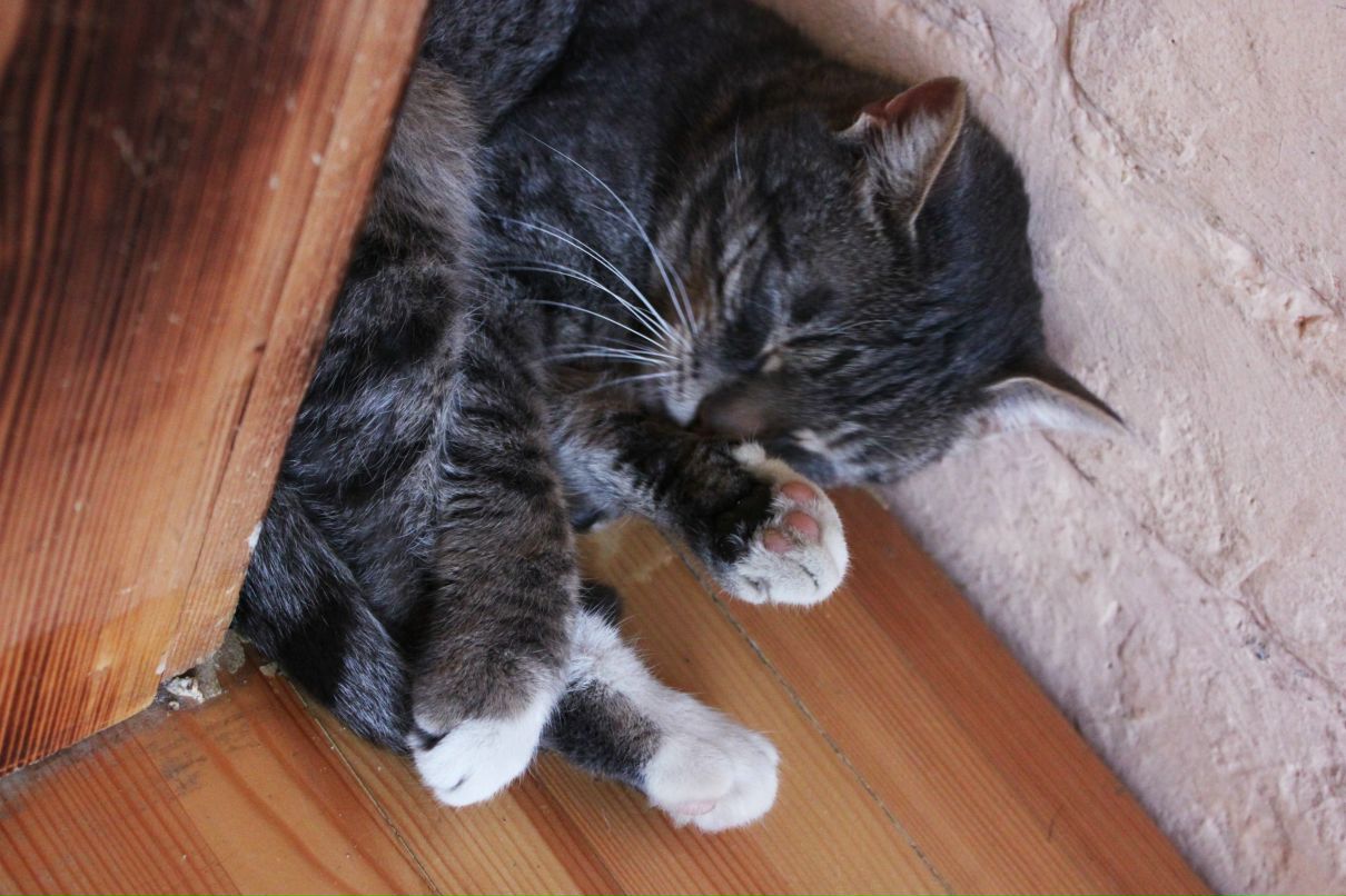 Ольга Ситкина | Москва