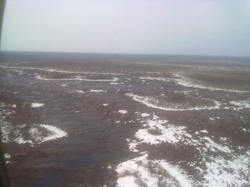 Артем Радостев | Добрянка