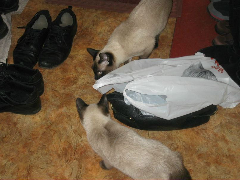 Марина Маркова | Санкт-Петербург