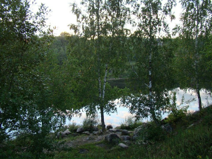 Александр Хлусов | Санкт-Петербург