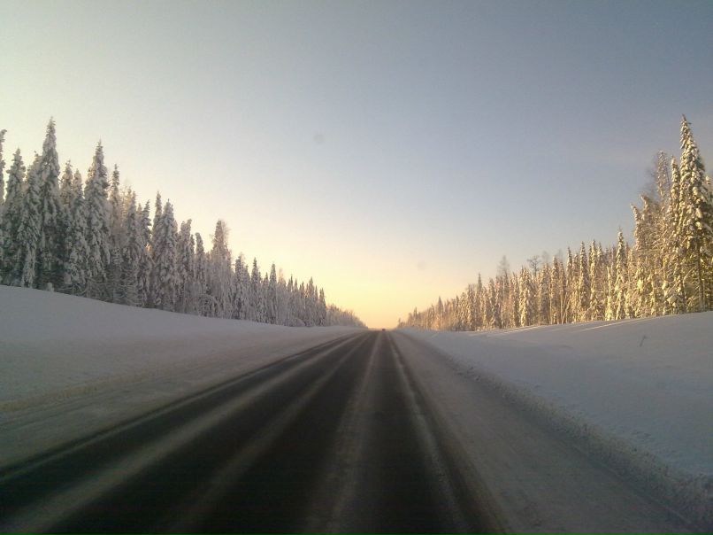 Дэн Соловей | Санкт-Петербург