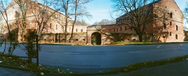 Юлия Мизеркевич | Светлогорск