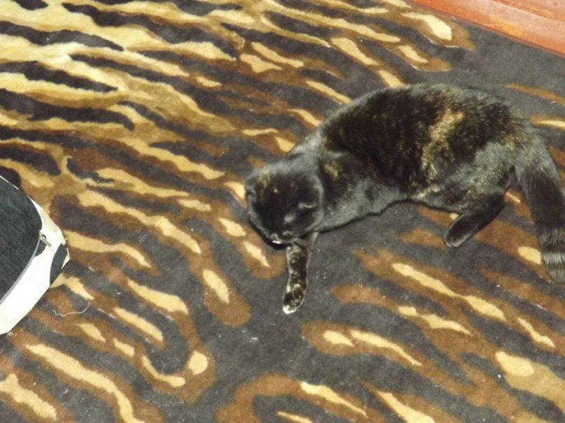 Вася Сазонов Серегович | 