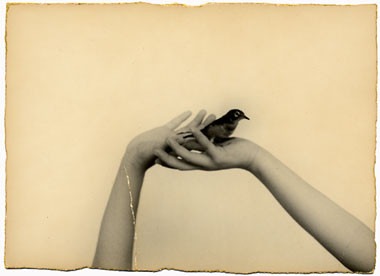 №66, Anna Podgrushnaya, 35 лет, Киев №66, Anna Podgrushnaya, 35 лет, Киев