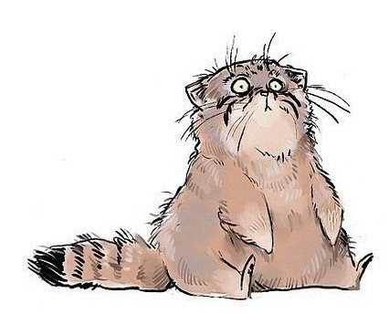 Міша Ковальський | 