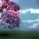 Lubov Puzanova ♥♥♥ | Дальнее Константиново