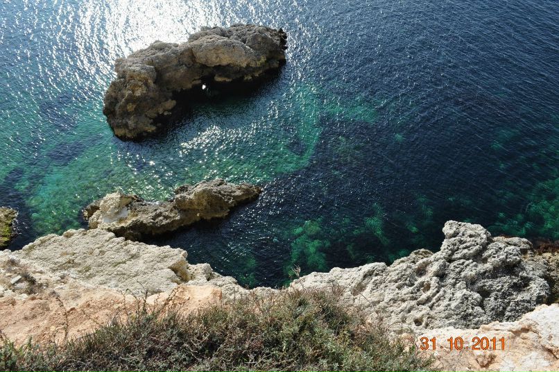 Руслан Васильев | Севастополь