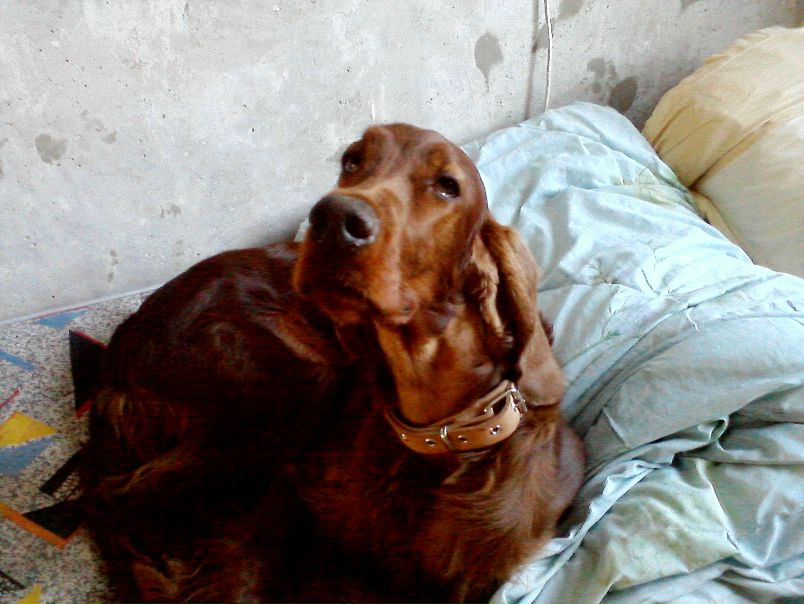 №8, Таня Некрасова, Хабаровск №8, Таня Некрасова, Хабаровск