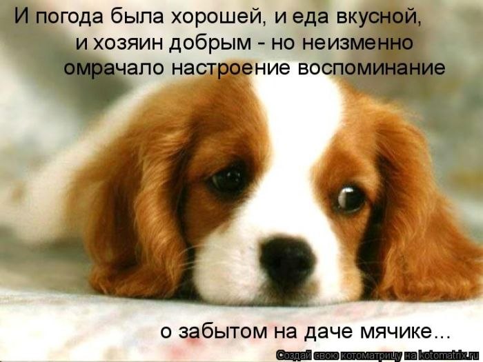 Татьяна Фетисова | 